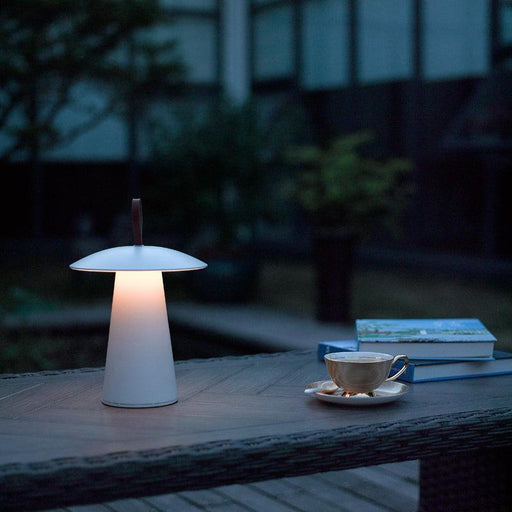 ARA TO GO PORTABLE LAMP LIGHTING