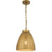 A modern pendant light with a clear glass globe shade and an antique brass finish.