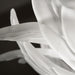 Large, decorative wall art with a textured, leaf-like pattern, close-up of texture.